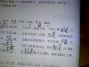 接怎么组词语