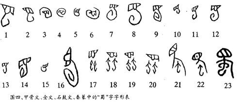 探索探探字怎么组词