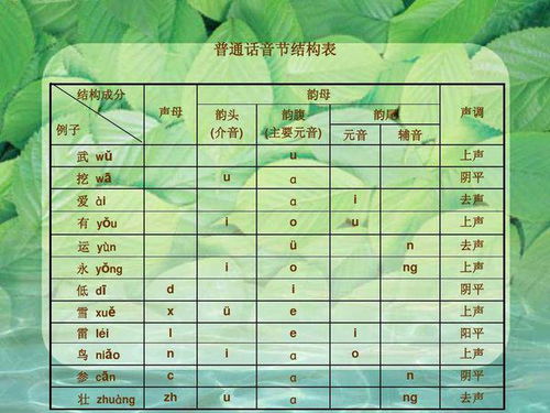 韵母还能怎么组词