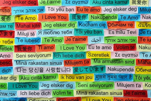 我弟弟的弟怎么组词