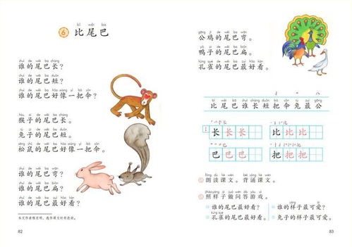 兔怎么组词几个图片