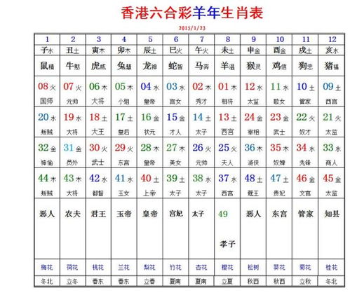 兔怎么组词几个图片