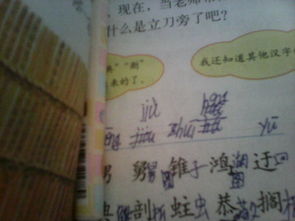 诚能怎么组词 诚能怎么组词
