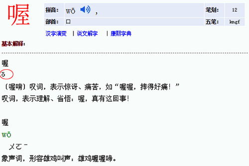 率怎么读拼音和组词