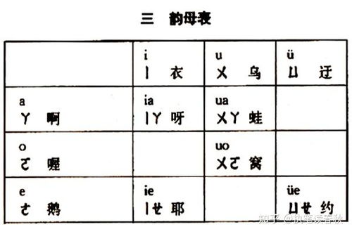 率怎么读拼音和组词