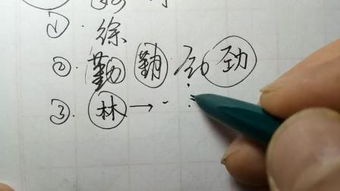 李字还可以怎么组词呀