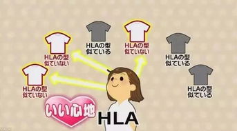 相亲们的香香怎么组词