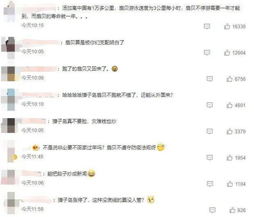 贝导航怎么组词