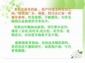 茉莉的莉怎么组词