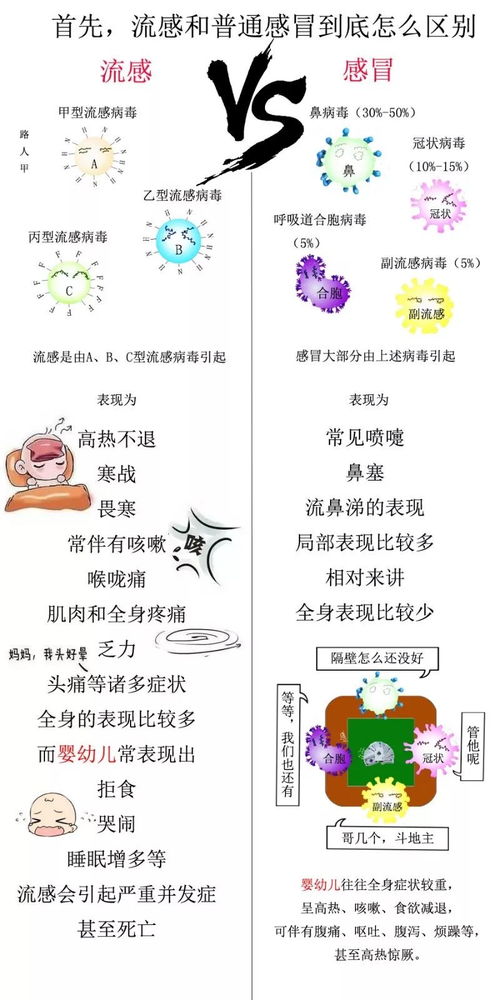 感冒的冒怎么组词怎