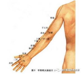 脂拭怎么组词