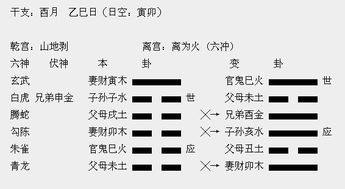 懂组词