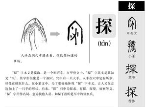 探字的探怎么组词啊