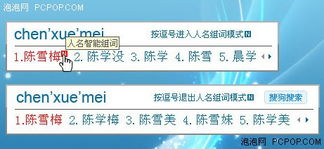 搜索的拼音怎么组词