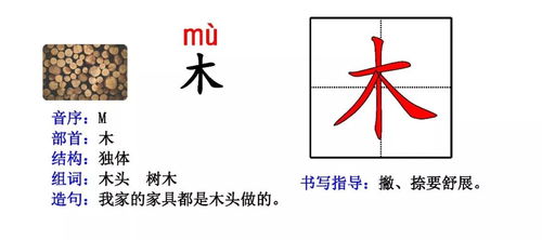 搜索的拼音怎么组词