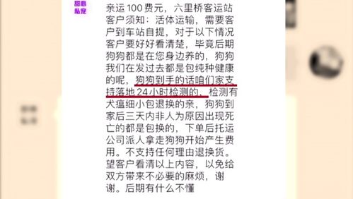 陷阱线怎么组词