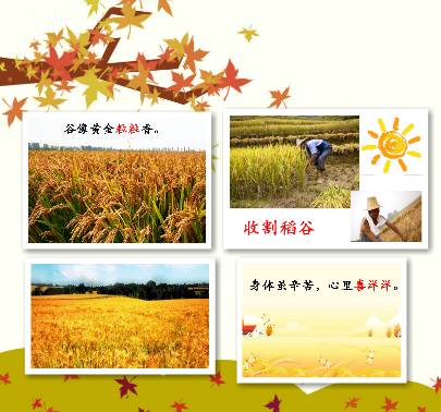 稻谷的谷丽怎么组词