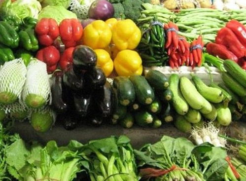 蔬菜的蔬怎么组词 蔬菜的蔬怎么组词