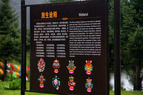 战役的役还能怎么组词