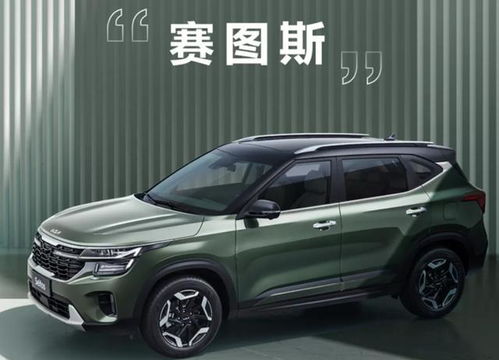 起亚标志怎么组词呀