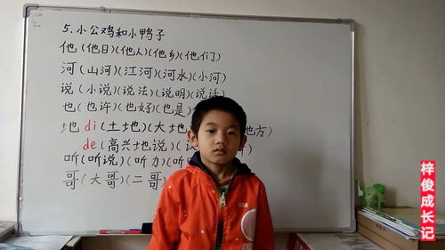 子鸡怎么组词 子鸡怎么组词