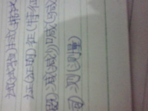 用测量怎么组词