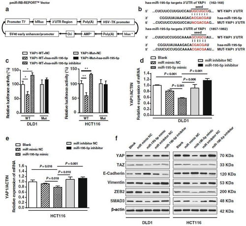 基因基金怎么组词