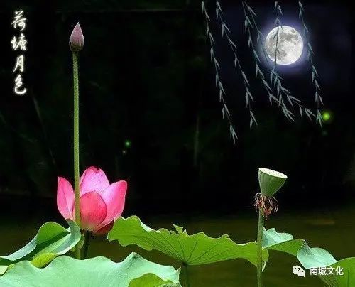 月色的说怎么组词