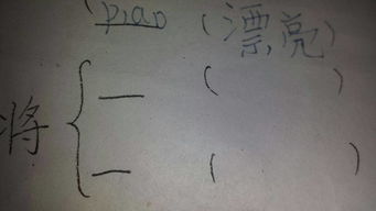 夹多音组词 夹多音组词