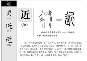 e愿意的意字怎么组词