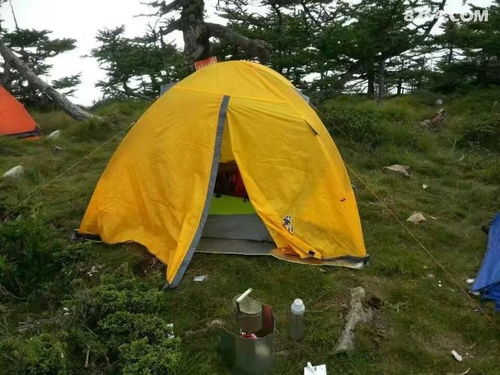 帐篷的账账怎么组词