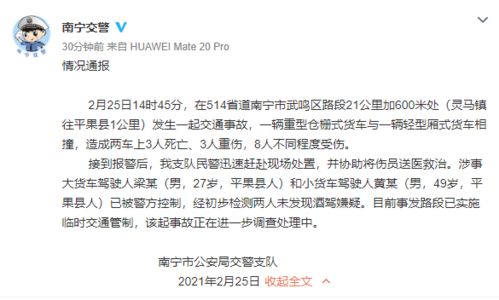 摘摘果的摘怎么怎么组词 摘摘果的摘怎么怎么组词