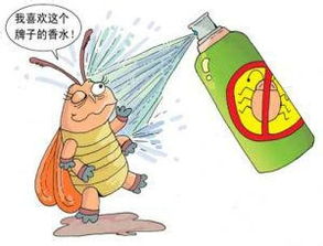 驱赶的驱怎么组词 驱赶的驱怎么组词