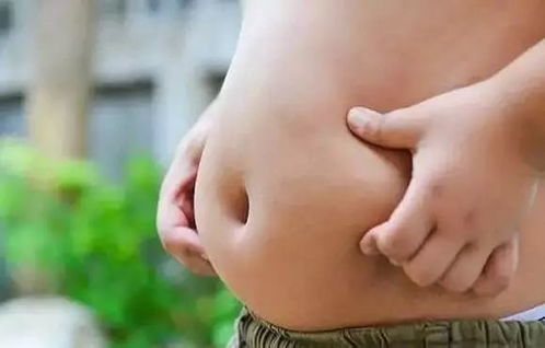 肚子能不怎么组词