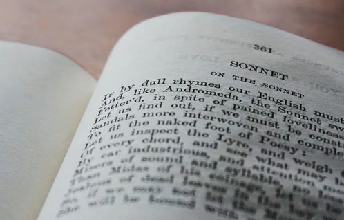 一首诗手怎么组词