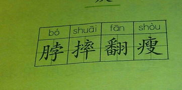 朴个字怎么组词