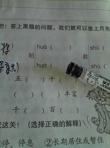 朴个字怎么组词