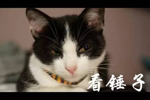语气词吾怎么组词