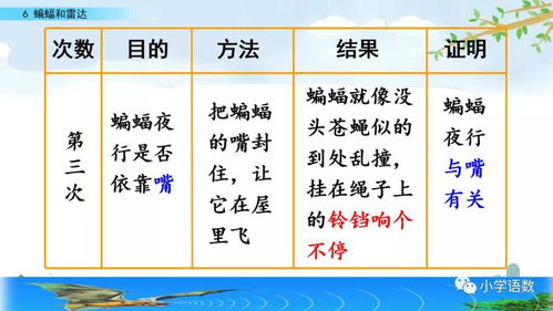 蝙蝠能怎么组词
