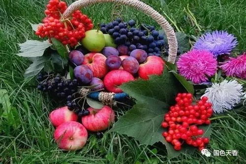 有水果的图片怎么组词啊