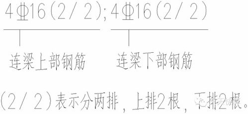 金字怎么组词脑筋的筋