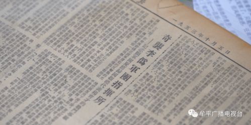 条队里的李怎么组词