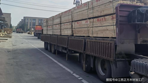 眼睛的这个木怎么组词