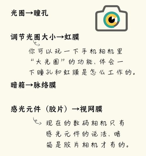 眼睛的这个木怎么组词