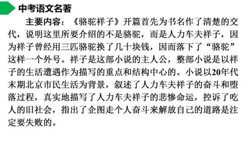 骆驼图怎么组词