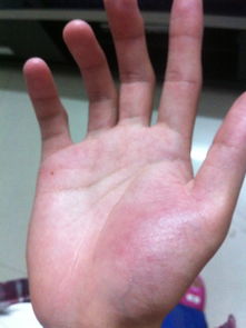 手掌的掌怎么组词啊