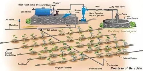 灌溉灌溉的溉怎么组词
