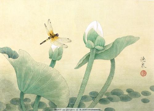 描写荷花的荷怎么写组词