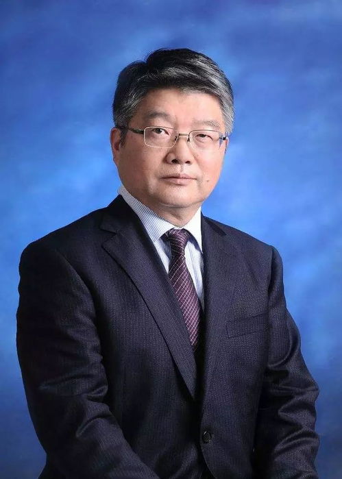 陈宪的陈怎么组词