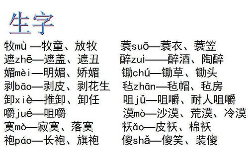 聚字怎么组词句